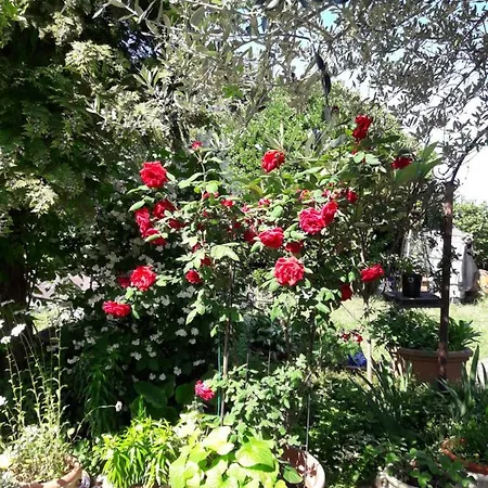 Lejlighed Bellavista