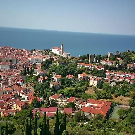 Bellavista *